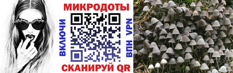 Галлюциногенные грибы Magic Shrooms Асино